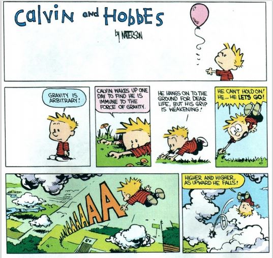 calvin, hobbes, calvin hobbes, calvin and hobbes, comic, cartoon